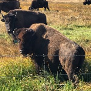 Meet your Posher, Matthew